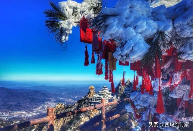 中药进补不能乱来！三种中药多吃伤肝，你可能犯过错！